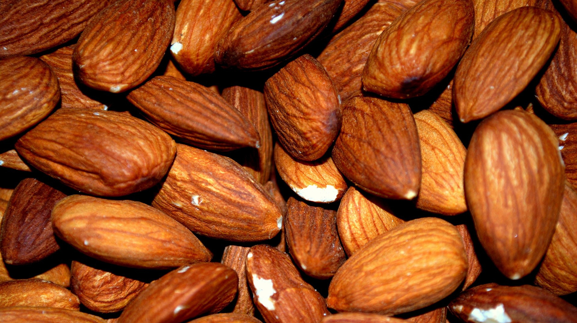Almonds used to make Sweet Almond Carrier Oil