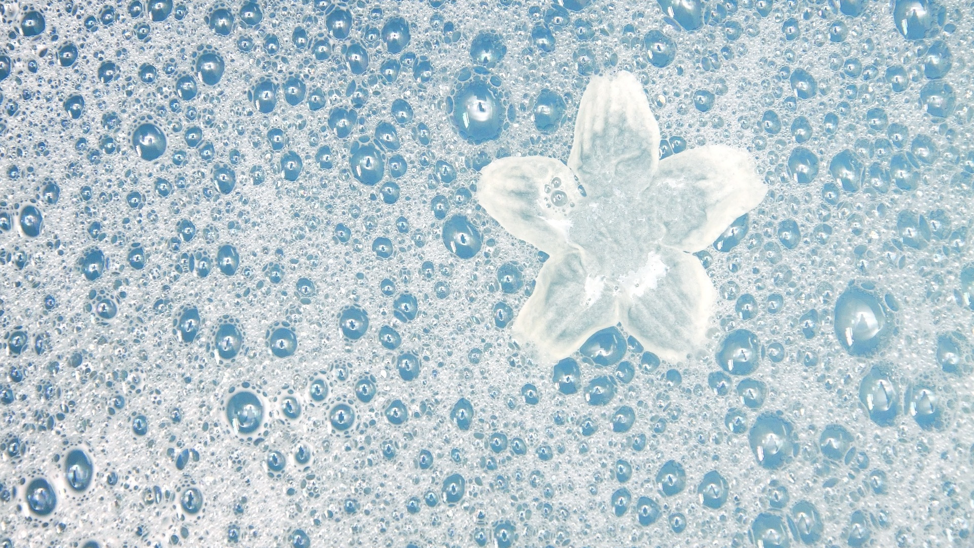 White flower in bubble bath