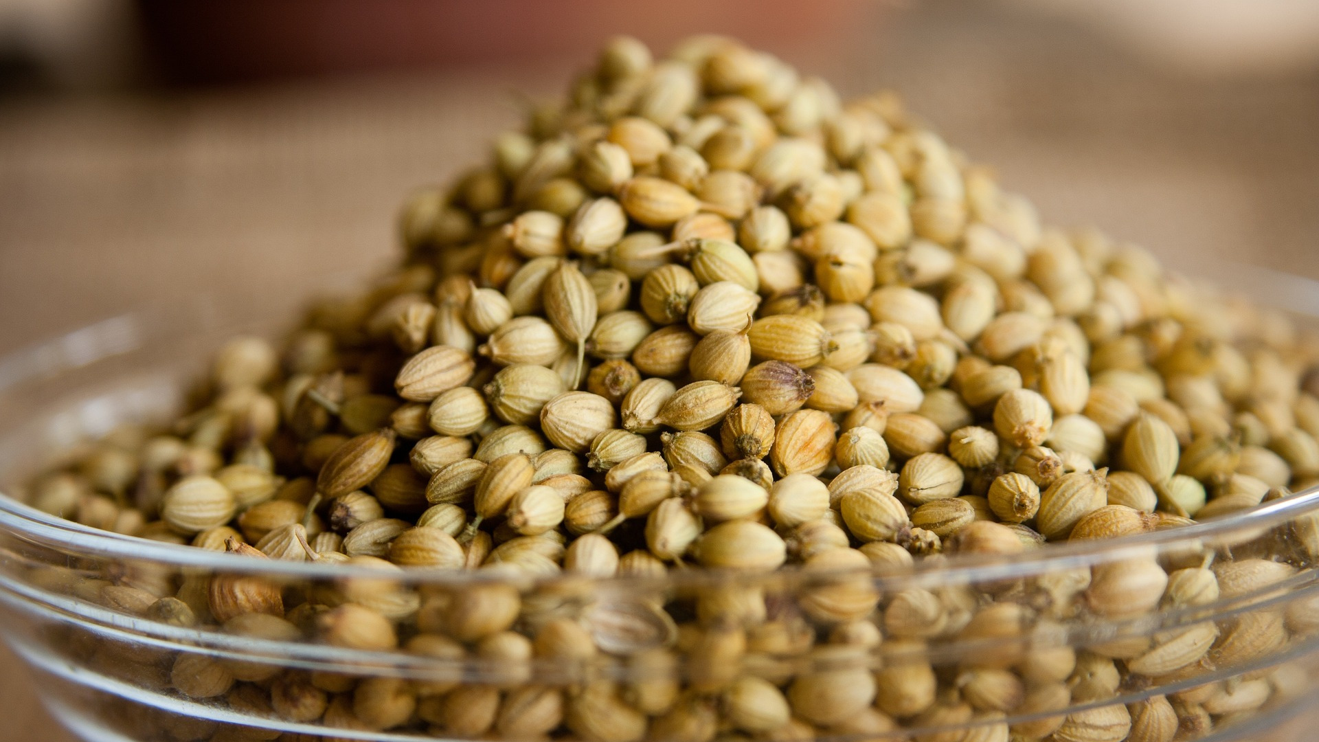 Coriander Essential Oil