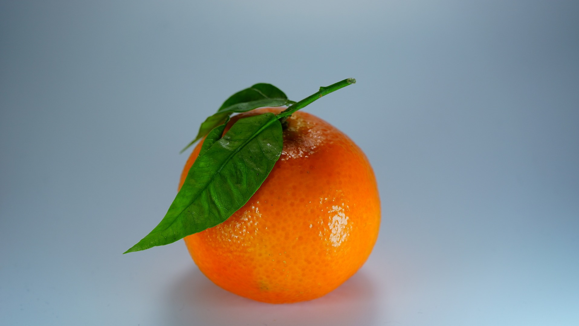 Clementine Orange