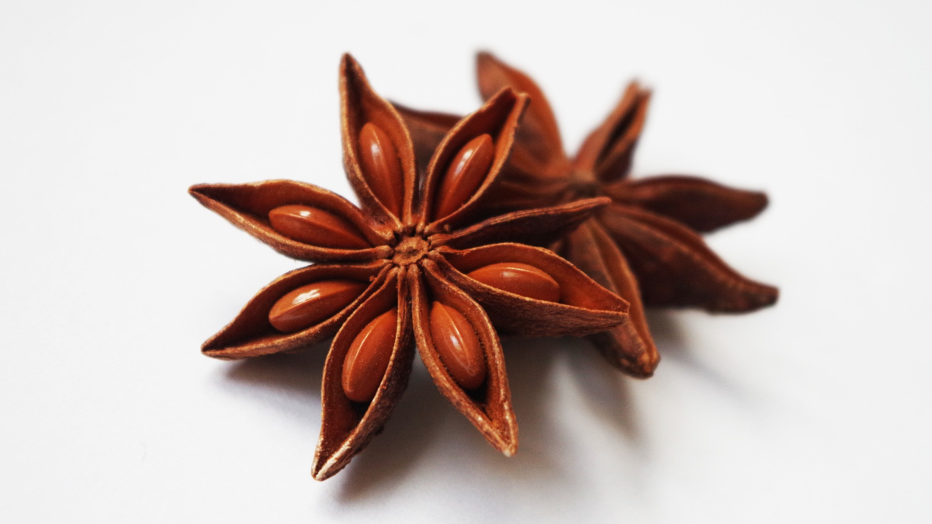 Star Anise Essential Oil